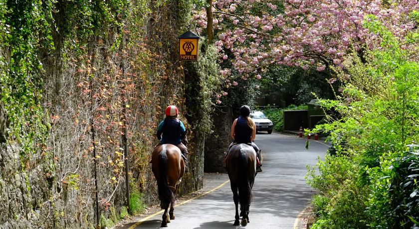 Chateau La Chaire Rozel エクステリア 写真